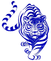 2022 год Голубой водяной тигр