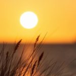 Самый длинный день в 2024 году Самый длинный день в 2024 году